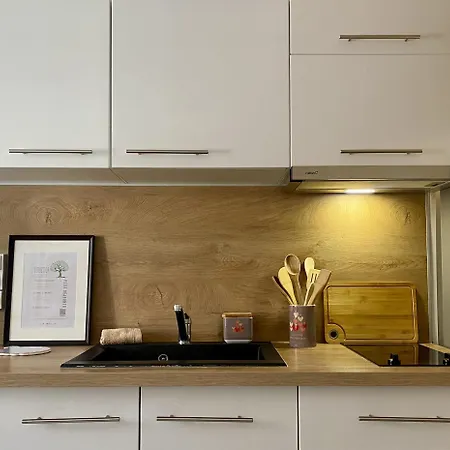 Apartamento Le Carnot, Wi-fi Netflix Gratuit Et Elegance Au Coeur De